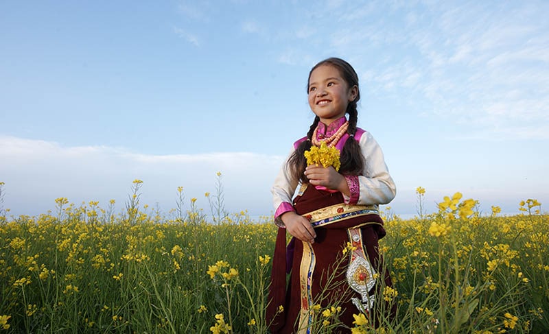 Qinghai, green energy, polar