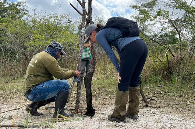 tech4nature mexico 1